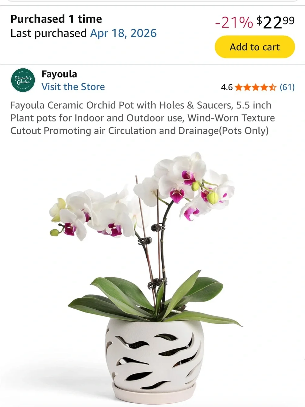 White Ceramic Orchid Pot with Air-Circulation Cutouts